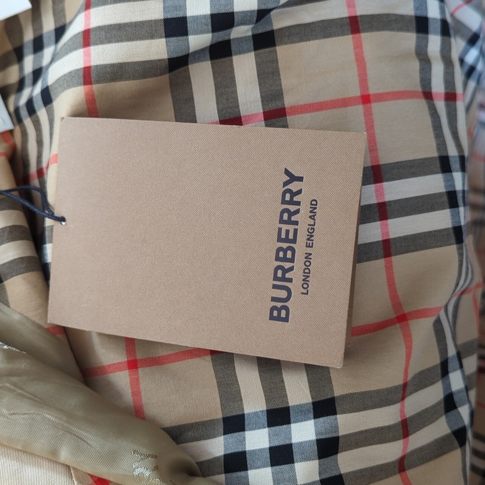 Burberry Runway Collection Pale Honey Scarf-Layer Trench Coat Size 6 - Picture 14 of 17